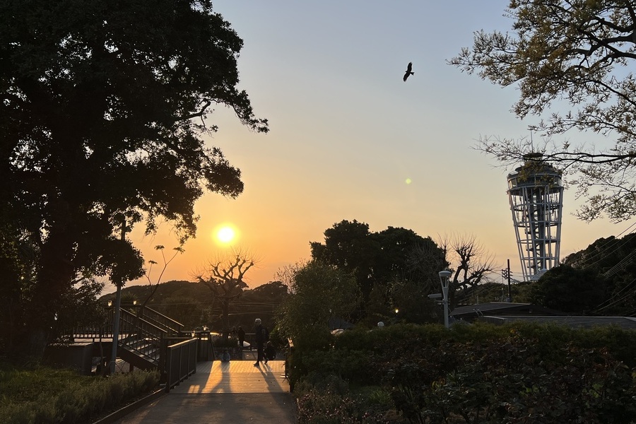 가마쿠라, 에노시마